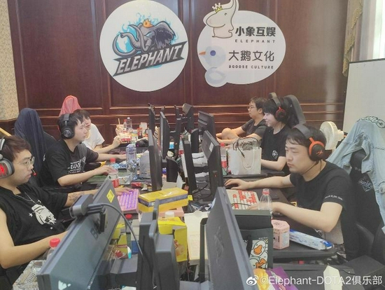 深圳4AM战队精彩表现引关注